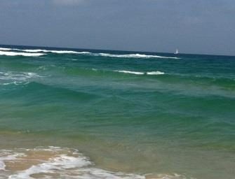 אל תישבר – תיאבק